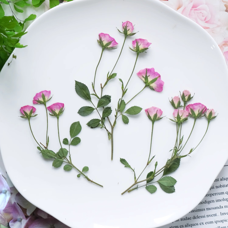 12 pièces, mini roses pressées - Supplies Of Candle avis et prix